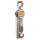 delta sparkless spur gear block and tackle with overload protection 20 t with 3 m galvanized load chain and stainless steel hand chain atex zone 1 ce Ex ii 2g c Tx / ce Ex ii 2d c Tx
