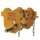 DELTA YELLOW® Haspelfahrwerk - mit 2,5 Meter Handkette- 2t