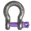 deltalock anchor shackle 1 t with screw bolt