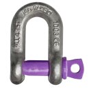 deltalock chain shackle with screw pin 1.0t-55.00t