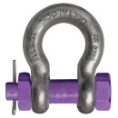 deltalock anchor shackle 1 t with bolt with screw nut
