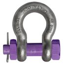 DELTALOCK Anker Schäkel 1 t mit Bolzen mit...