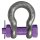 deltalock anchor shackle 2 t with bolt with screw nut