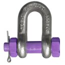 deltalock chain shackle with bolt with screw nut...