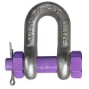 DELTALOCK Ketten Schäkel 3.25 t mit Bolzen mit...