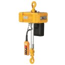 delta electric chain hoist bdn 230 volt with frequency converter