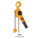 Overload protection for lb lever hoist