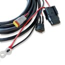 LED Relais Harness 1 DT-Connector 2-poles
