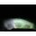 HL7-2 7 Zoll Bi-LED chrom - Hauptscheinwerfer E-Zulassung